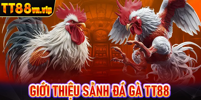 Giới thiệu sảnh đá gà TT88