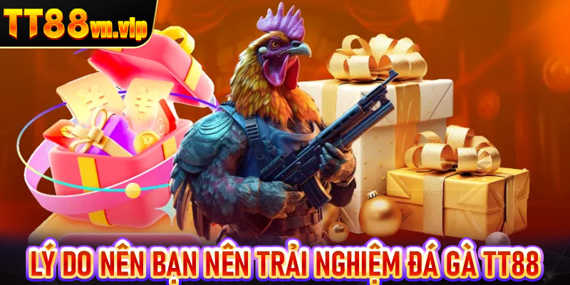 Những lý do bạn nên trải nghiệm đá gà TT88