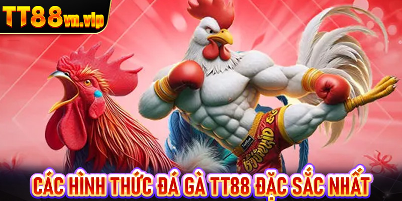 Các hình thức đá gà TT88 đặc sắc nhất